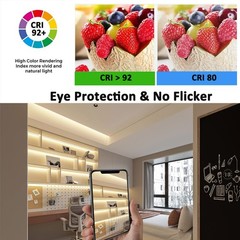 JOYLIT PRO+ 24V LED Strip 16.4FT 5000K White 610LM/ft Indoor