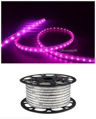 UL Listed,6.6 Feet,PINK,Dimmable,Super Bright 1800 Lumen 120Volt Flat LED Strip
