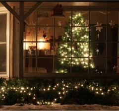Superbright Extendable Clear White Wire Christmas Lights Decoration 100lights 19