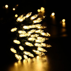 33ft 100-LED Color Changing Christmas Lights, Remote, 12 Modes