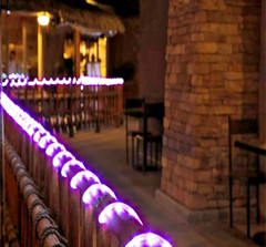 100 Feet 720LED Rope Lights 2-Wire Low Voltage Waterproof Rope Lights Indoor&Out