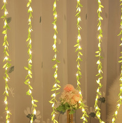2M 20LED Willow Curtain String Lights Battery Copper Wire Home Decoration