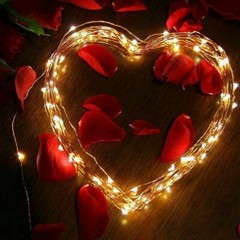 200LED 66ft Solar Fairy String Light Copper Wire Outdoor Waterproof Garden Decor
