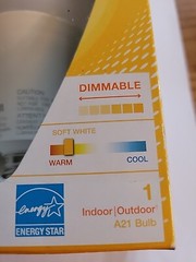 Sylvania LED A21 Soft White 100 watt equivalent Glass LED Light Bulb