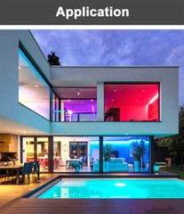 IP68 Waterproof Addressable Dream Color COB Strip Light Outdoor Pool Strip Light