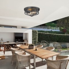 Darkaway Flush Mount Ceiling Light Clear Glass Shade Indoor Outdoor 2-Light