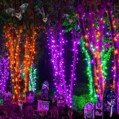 JOOMER ORANGE PURPLE HALLOWEEN LIGHTS 100FT 300 LED PLUG IN STRING LIGHTS