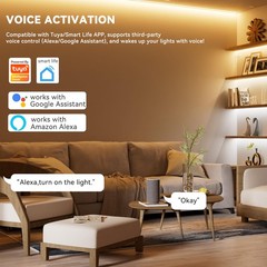 WiFi 5in1 LED Controller Dimmable for Monochrome CCT RGB RGBW RGBCCT LED Stri…