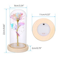Rose Flowers Valentine’s Day Gifts for Women,Glass Dome Rose for Mom Wife
