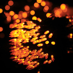 Plug In 100 LED String Light Rainproof Halloween Fairy Light w/8 Mode Controller