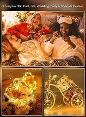 Waterproof Battery Powered Lights for Wedding Party Decor