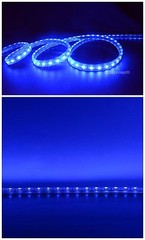 UL Listed,6.6 Feet,BLUE,Dimmable,Super Bright 1800 Lumen 120Volt Flat LED Strip