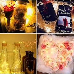 20/50/100 Battery Operated Copper Wire LED Fairy String Lights Christmas Wedding