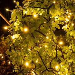 66FT 200LEDs Fairy Lights Solar Powered,Black PVC Wire,Warm White