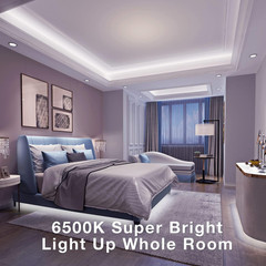 White LED Strip Lights, 20Ft Dimmable Super Bright 24V Led Tape Light 6500K 360