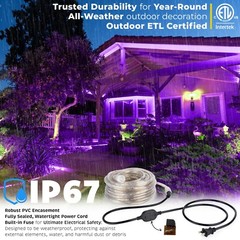 Purple LED Outdoor Waterproof Rope Light, Exterior Lighting, 10′ 25′ 50′ 100’ft