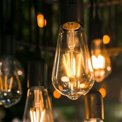 Filament Parts Hard Lamp Parts 3V Edison Bulb Supply Warm Light Filament for …