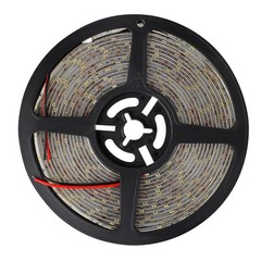 5M 300leds 3528/5050 SMD Warm/Cool White RGB/RGBW LED Strip Light
