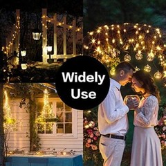 50-100 leds String Lights LED Fairy Lights Battery Operated Copper Lights Remote