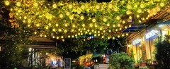 50 LED Solar String Lights Patio Party Yard Garden Wedding Waterproof Outdoor