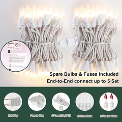 LAMPHOME 100 Count White Frost Christmas Lights,Mini Clear Lights 21ft White …