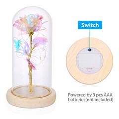 Rose Flowers Valentine’s Day Gifts for Women,Glass Dome Rose for Mom Wife