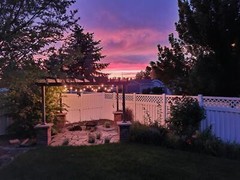 30 Pack S14 Outdoor String Light Bulbs Set 120V 11W Clear Outdoor Patio Vintage