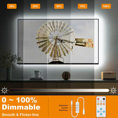 16.4 Ft. Dimmable 24-Volt 2A/48-Watt 2400 Cob LED Strip Light Beads Super Bright