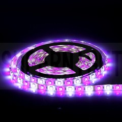 5M RGBW+Cool White Led Strip Light with Remote for Home Garden Party Decoration