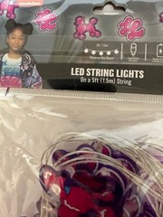 Nickelodeon LED 5ft String Lights “That Girl Lay Lay” Battery Operated Bedroom