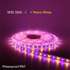 Off Car/Boat 12V Battery 6M 8M 15M 20M 30M RGBW LED Strip Light w/o Power Supply
