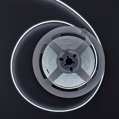 8mm COB LED Strip Cool White 6000ºK 24V 10W/m 1100lm/m 480LED/m 16.4ft