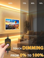 Flexible LED Neon Rope Lights, 12V Warm White 16.4ft for Bedroom Decoration