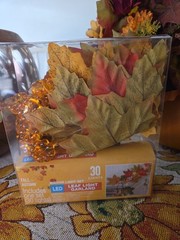 60 LED Maple Leaf Light Garland(2 pks 30) 9 ft. lit length 10 ft. total length