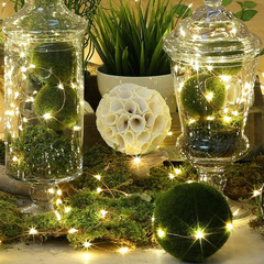 2-10m 20/50/100 LED Battery Micro Rice Wire Copper Fairy String Lights Party
