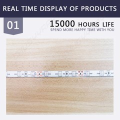 Super Bright Daylight White 2835 SMD 300 Led Light Strip 12V IP67 waterproof 5M