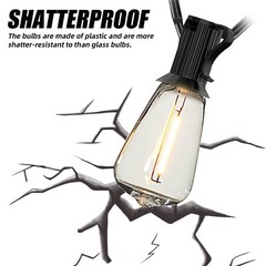 25-Light 50 ft. Indoor/Outdoor String Light with E12 2700K Warm White 20-Watts