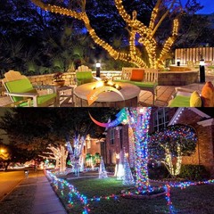 33ft 100 LED Color Changing String Lights Plug in, Warm White & Multicolor Ch…