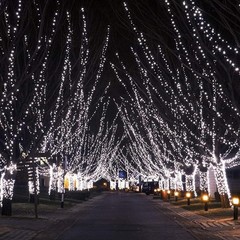 Touch Of ECO Solar String Lights 125 LED 68 Feet, Weather – Cool White