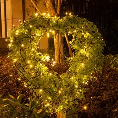 66FT 200LEDs Fairy Lights Solar Powered,Black PVC Wire,Warm White