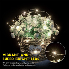 24/12X 20 LEDs 6.6ft Battery Operated Mini Copper Wire String Fairy Lights Decor