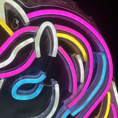 Unicorn LED Neon Light USB Cable Kids Adults Rainbow