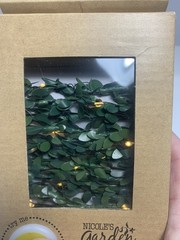 Boxwood Vines with Fairy Lights Battery Operated 30 Lights Warm White 10ft (x3)