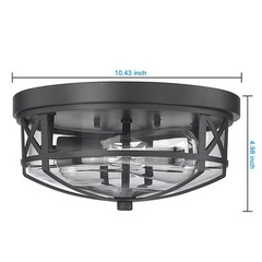 Darkaway Flush Mount Ceiling Light Clear Glass Shade Indoor Outdoor 2-Light