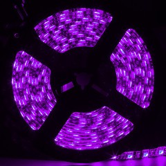 5M RGB LED Strip Light Waterproof Black PCB 5050 SMD Tape Rope String Light 12V