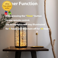 100 FT Warm White Fairy Lights Plug in Copper Wire String Lights with Remote, Ti