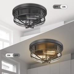 Darkaway Flush Mount Ceiling Light Clear Glass Shade Indoor Outdoor 2-Light