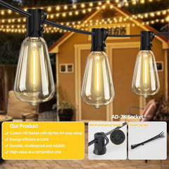 ST38 50FT LED Outdoor String Lights with 25+2 Spare Bulbs, E12 Socket, 2700K War