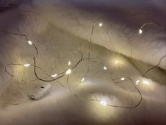 4 SETS Clear Fairy Lights F Crafts Solid/Blinking Lights On 6 Ft Wire String NEW