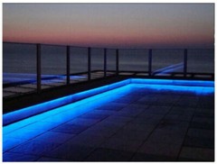 10/25/50/100/150FT Blue Thick LED Rope Lighting Accent Indoor Outdoor Xmas